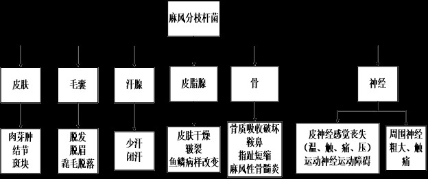 正确认识麻风病